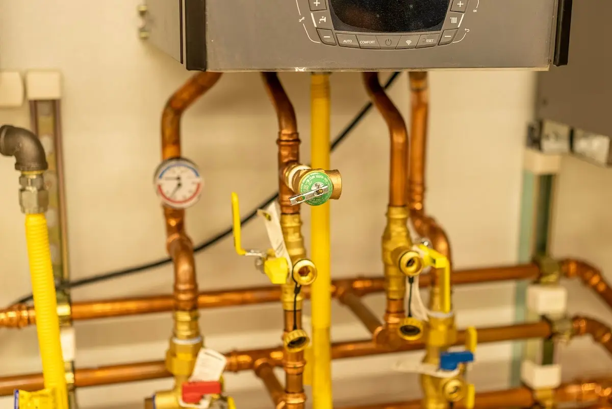 Licensed technician providing Emergency Plumbing for a homeowner in Sylvester